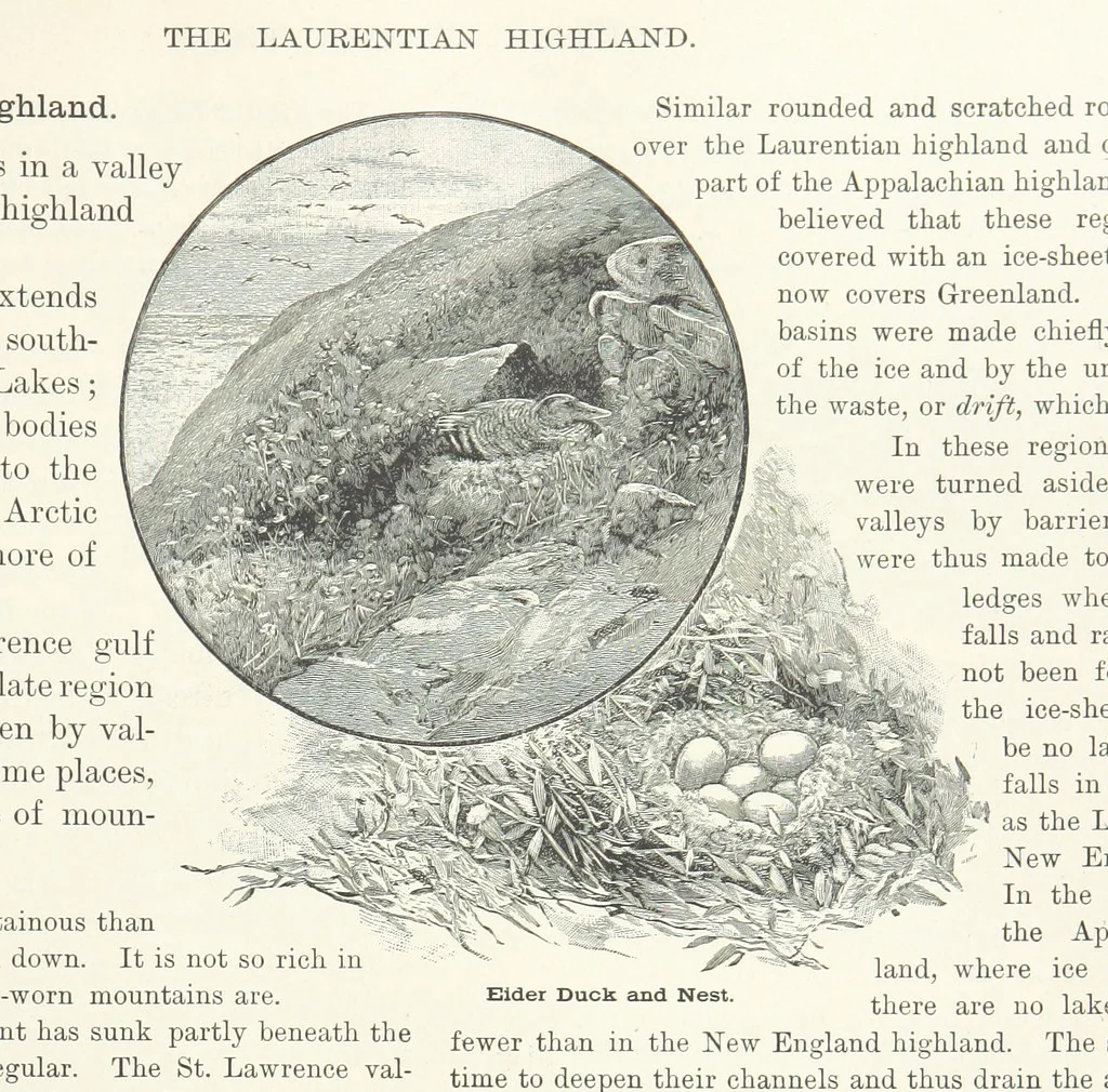 An illustration from Advanced Geography, 1899, leaf 49