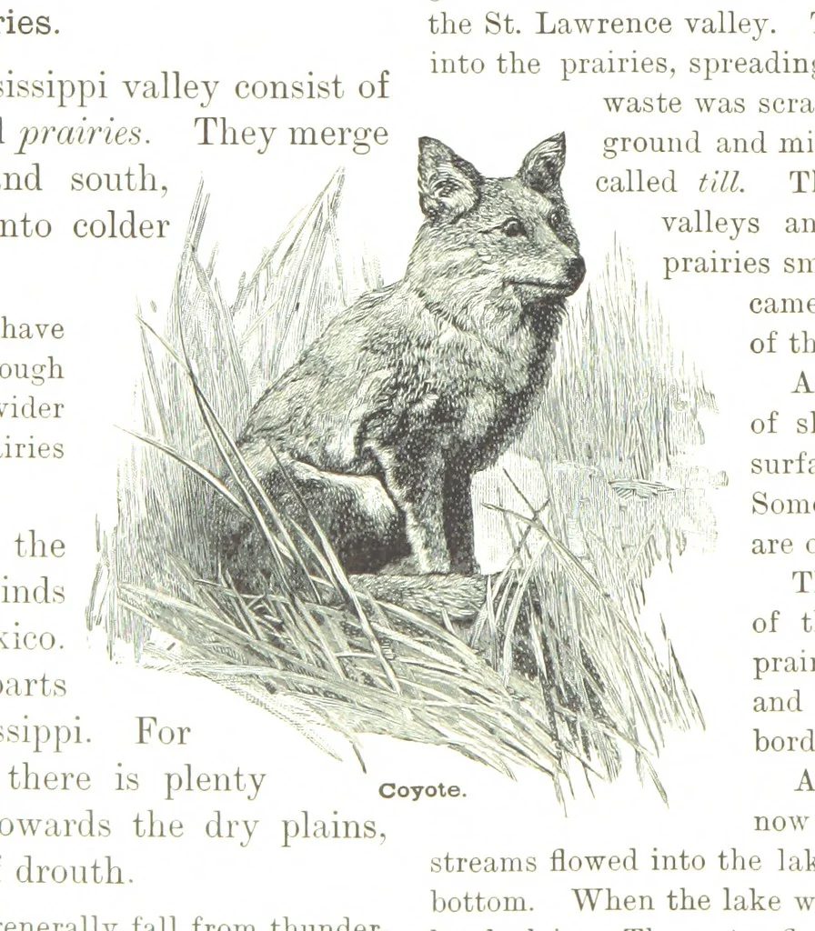 An illustration from Advanced Geography, 1899, leaf 52