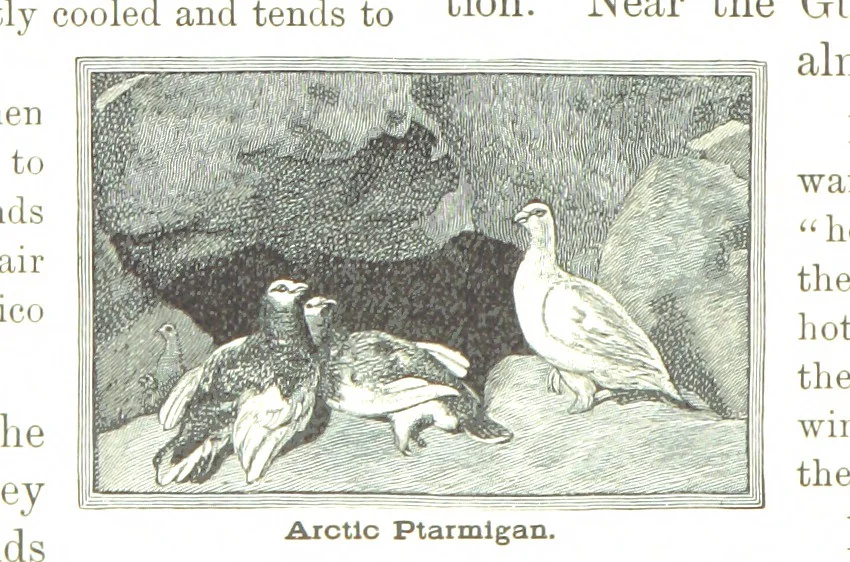 An illustration from Advanced Geography, 1899, leaf 54