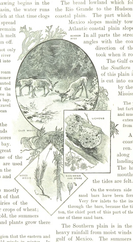 An illustration from Advanced Geography, 1899, leaf 54