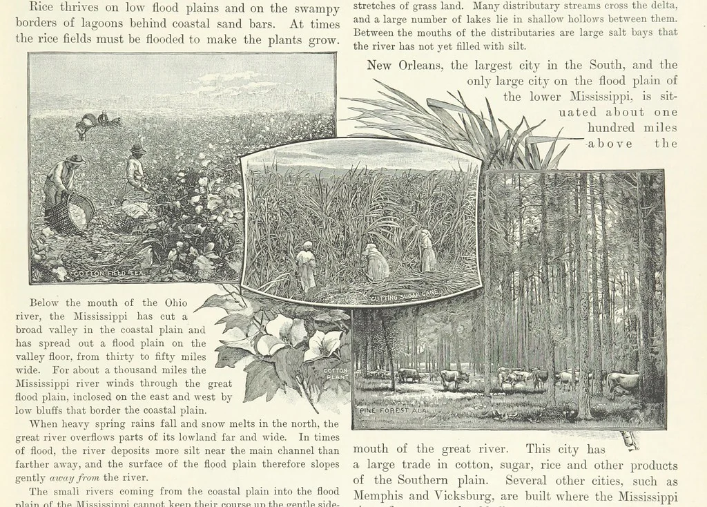 An illustration from Advanced Geography, 1899, leaf 55