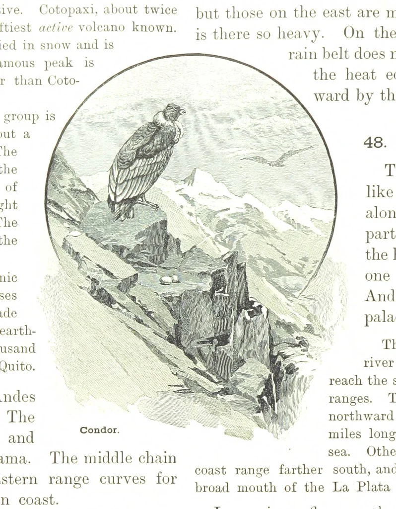An illustration from Advanced Geography, 1899, leaf 62