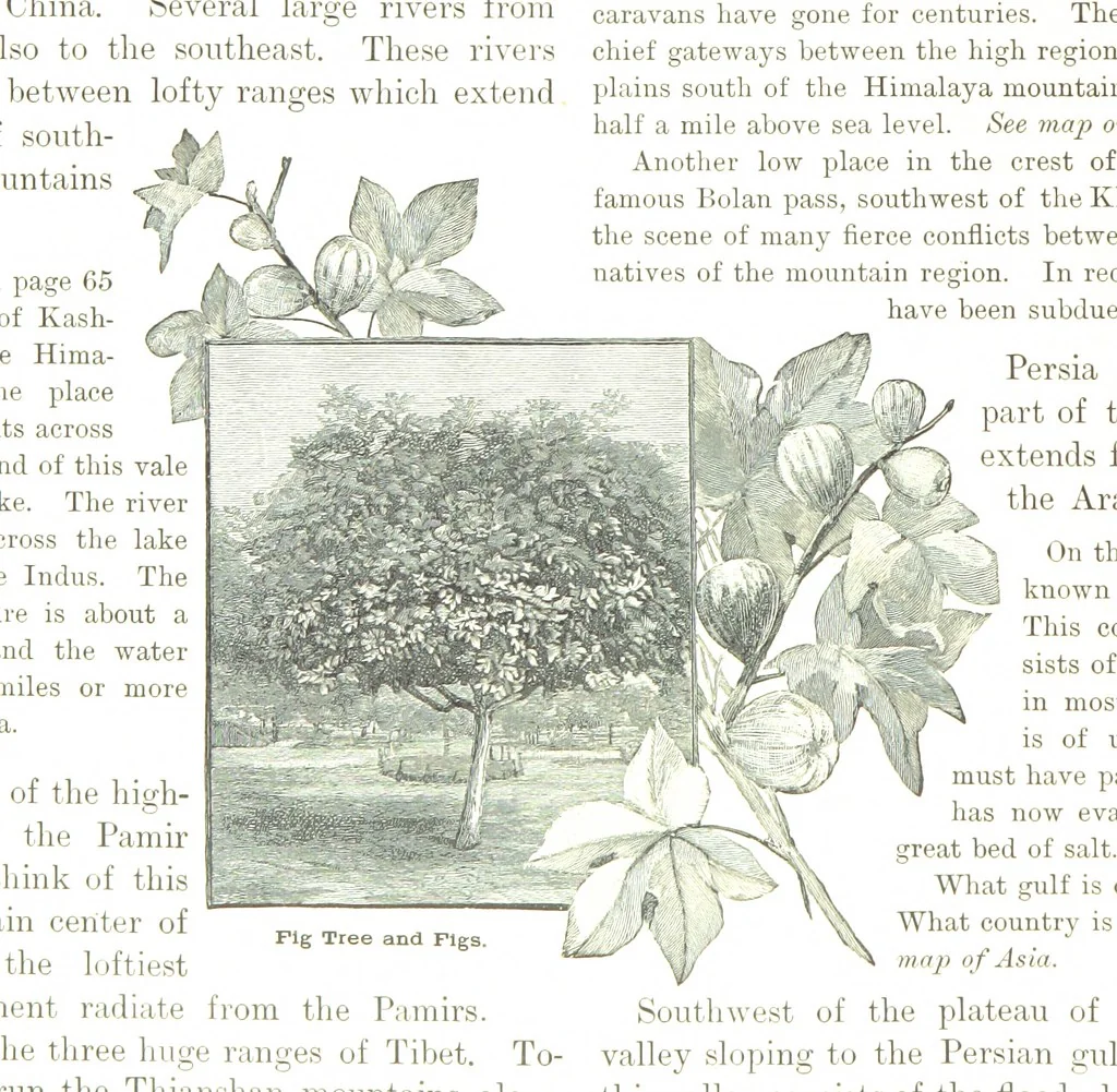 An illustration from Advanced Geography, 1899, leaf 70