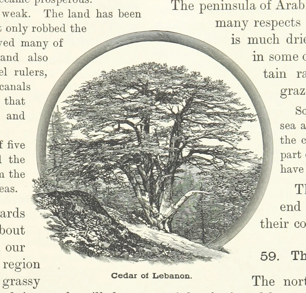 An illustration from Advanced Geography, 1899, leaf 71