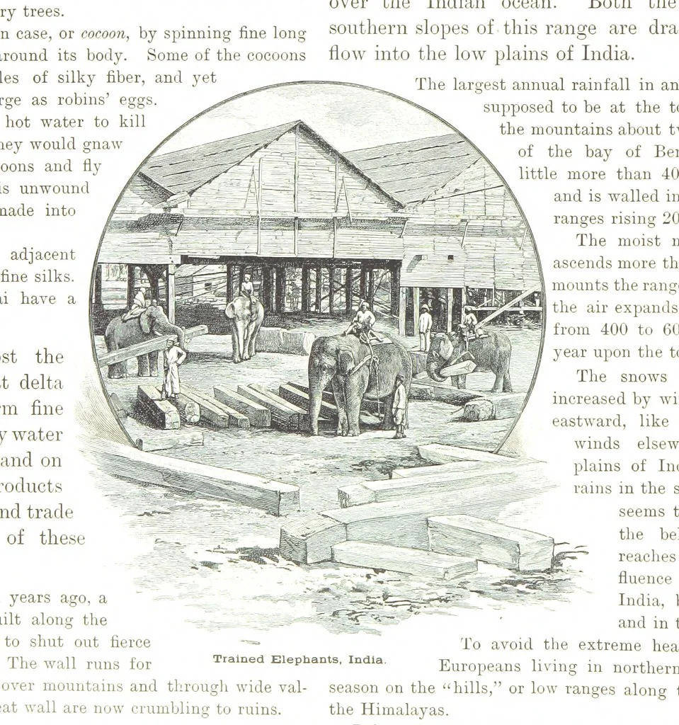 An illustration from Advanced Geography, 1899, leaf 74