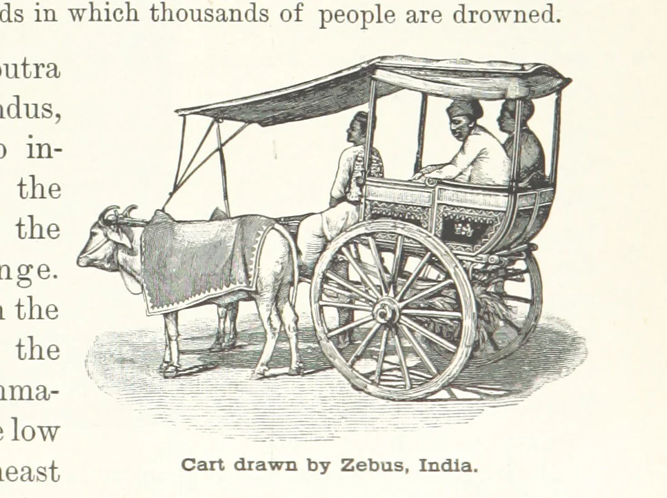 An illustration from Advanced Geography, 1899, leaf 75