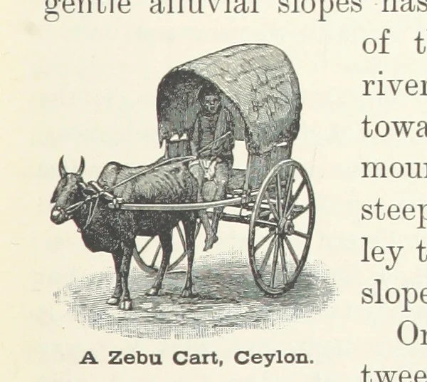 An illustration from Advanced Geography, 1899, leaf 75