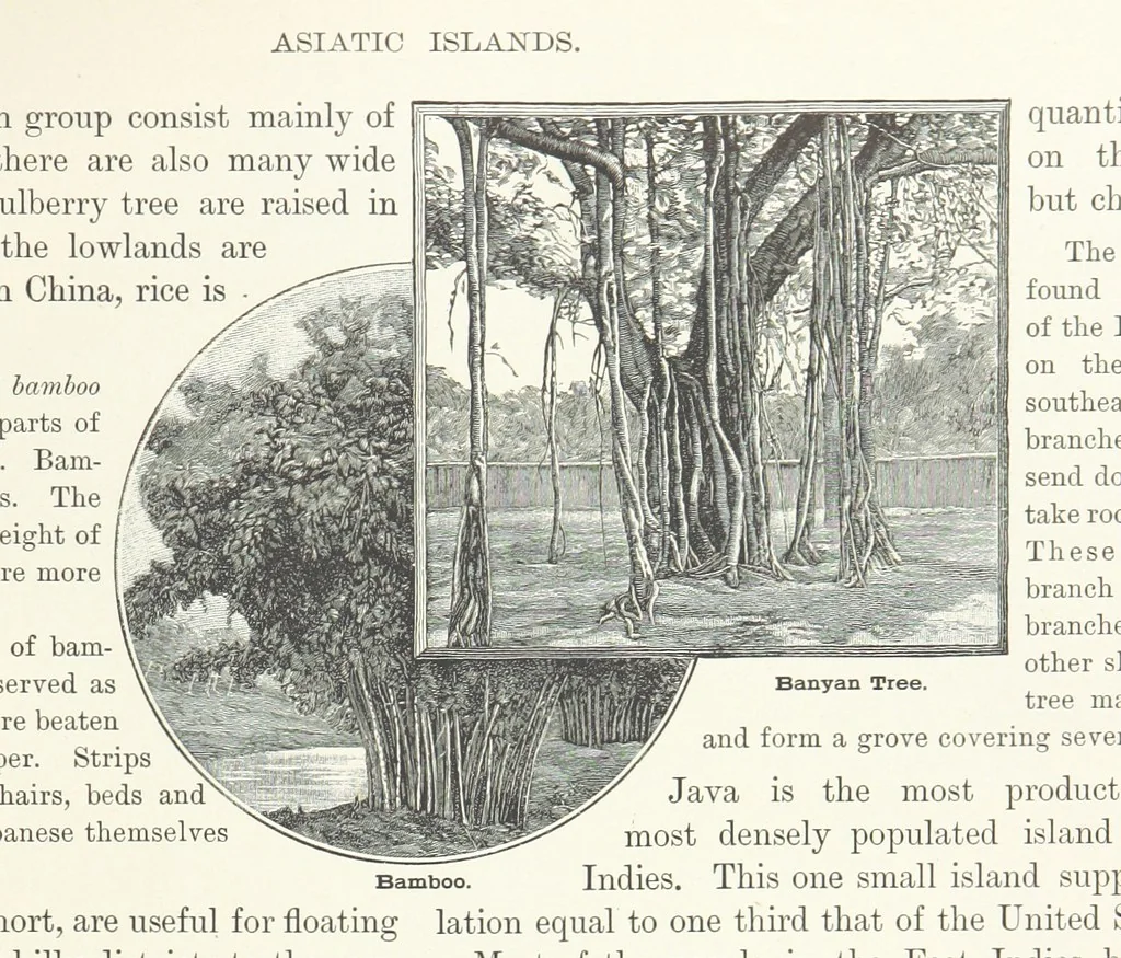 An illustration from Advanced Geography, 1899, leaf 77