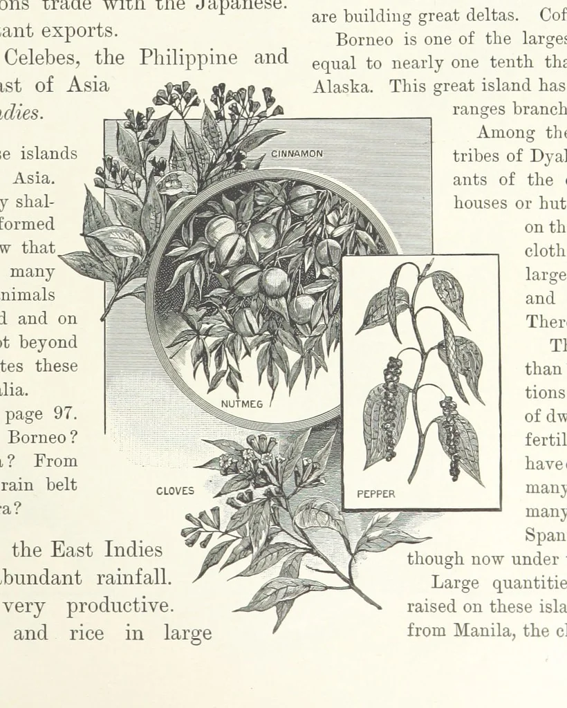 An illustration from Advanced Geography, 1899, leaf 77