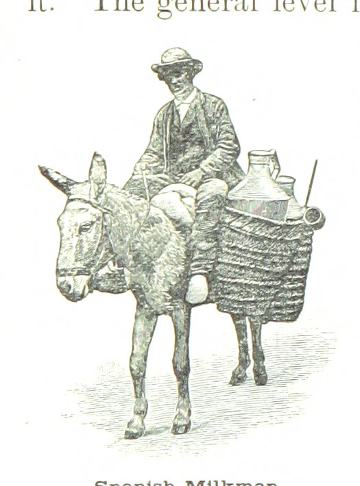 An illustration from Advanced Geography, 1899, leaf 82