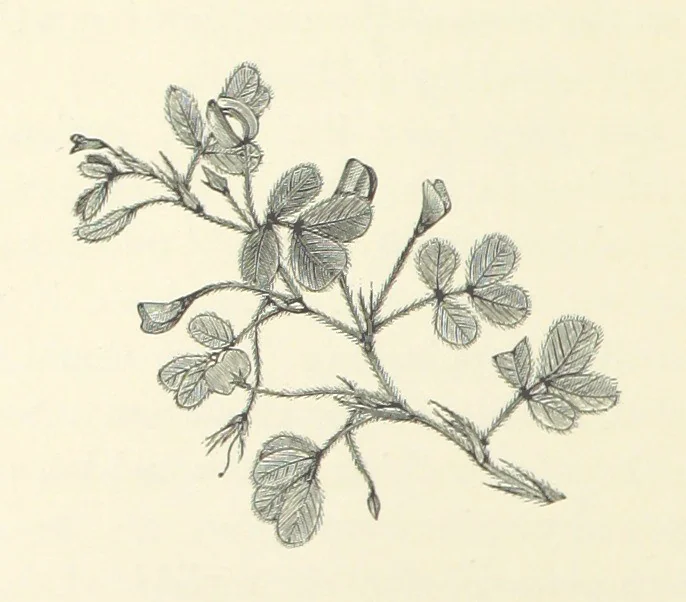 An illustration from A Daughter of the Klephts; or, A Girl of Modern Greece, etc. [A tale, 1897, leaf 128