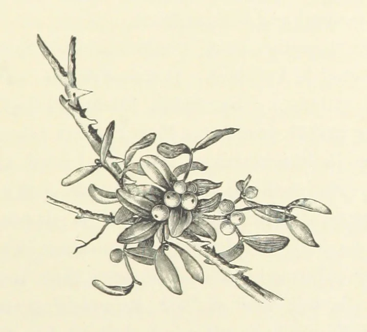 An illustration from A Daughter of the Klephts; or, A Girl of Modern Greece, etc. [A tale, 1897, leaf 173