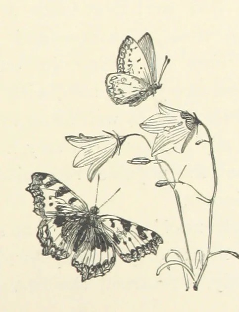 An illustration from A Daughter of the Klephts; or, A Girl of Modern Greece, etc. [A tale, 1897, leaf 369