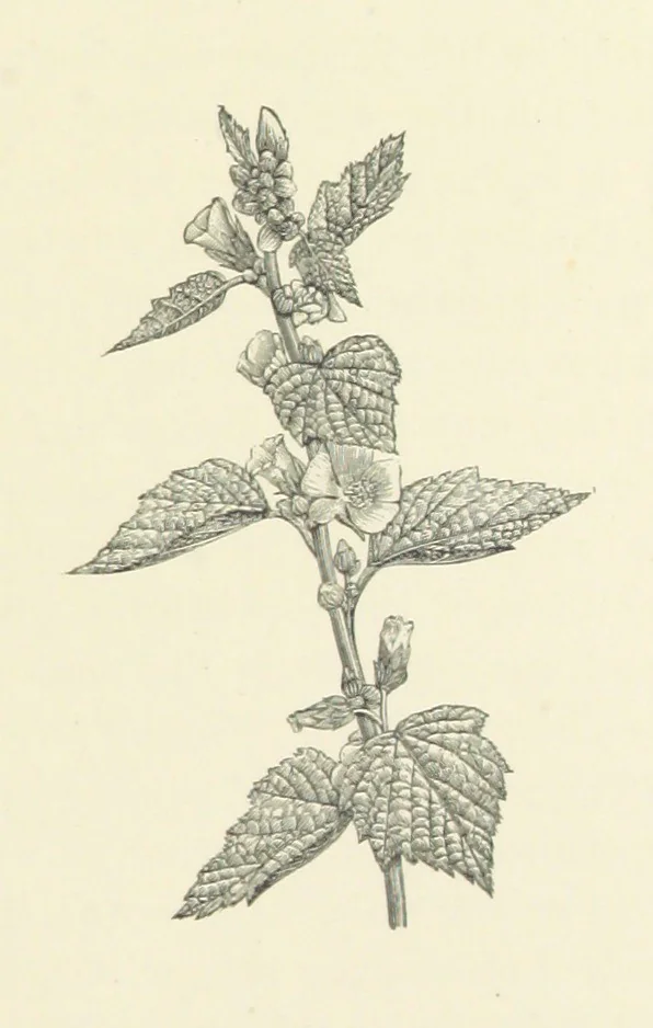 An illustration from A Daughter of the Klephts; or, A Girl of Modern Greece, etc. [A tale, 1897, leaf 91