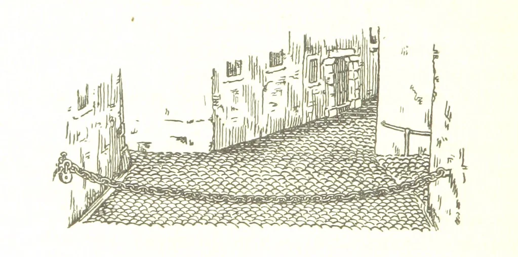 An illustration from Genève historique & archéologique ... avec dessins & fac-simile de Hermann Hammann. [With a supplement, 1869, leaf 126