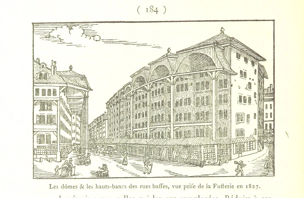 An illustration from Genève historique & archéologique ... avec dessins & fac-simile de Hermann Hammann. [With a supplement, 1869, leaf 198