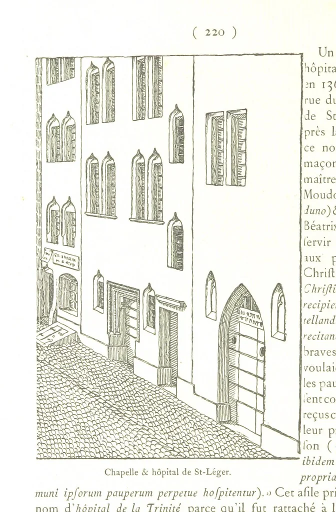An illustration from Genève historique & archéologique ... avec dessins & fac-simile de Hermann Hammann. [With a supplement, 1869, leaf 234