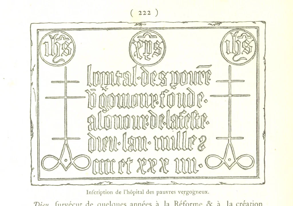 An illustration from Genève historique & archéologique ... avec dessins & fac-simile de Hermann Hammann. [With a supplement, 1869, leaf 236