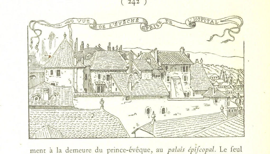 An illustration from Genève historique & archéologique ... avec dessins & fac-simile de Hermann Hammann. [With a supplement, 1869, leaf 256