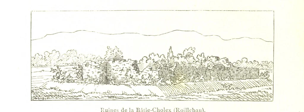 An illustration from Genève historique & archéologique ... avec dessins & fac-simile de Hermann Hammann. [With a supplement, 1869, leaf 530