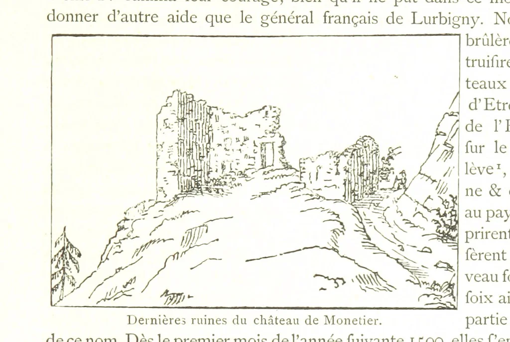 An illustration from Genève historique & archéologique ... avec dessins & fac-simile de Hermann Hammann. [With a supplement, 1869, leaf 567