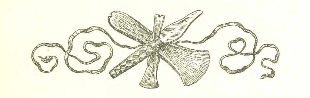 An illustration from Genève historique & archéologique ... avec dessins & fac-simile de Hermann Hammann. [With a supplement, 1869, leaf 57