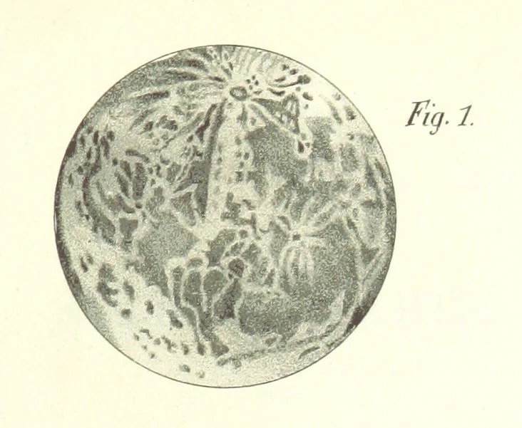 An illustration from Curso elemental de geografia universal, 1869, leaf 125