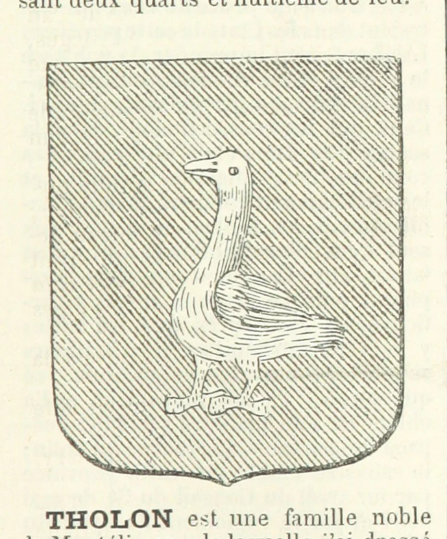 An illustration from Bibliothèque historique et littéraire du Dauphiné. Publiée par H. G, 1864, leaf 719