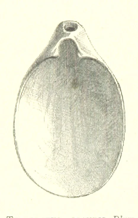 An illustration from Anvers à travers les âges, 1887, leaf 24