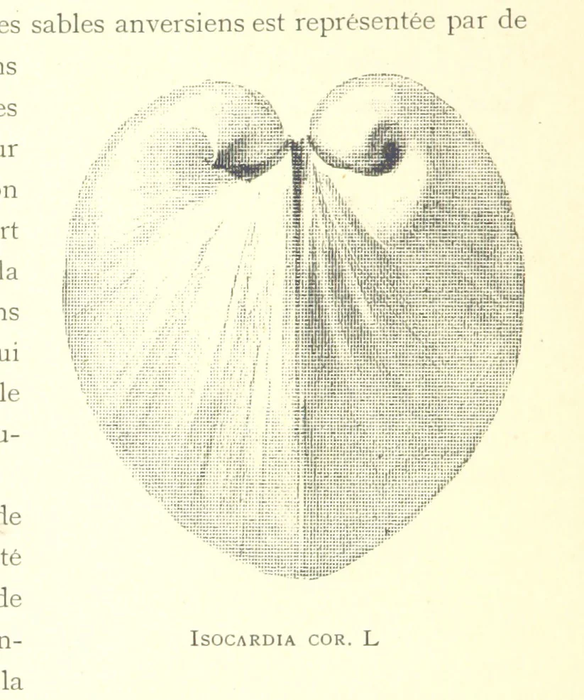 An illustration from Anvers à travers les âges, 1887, leaf 24