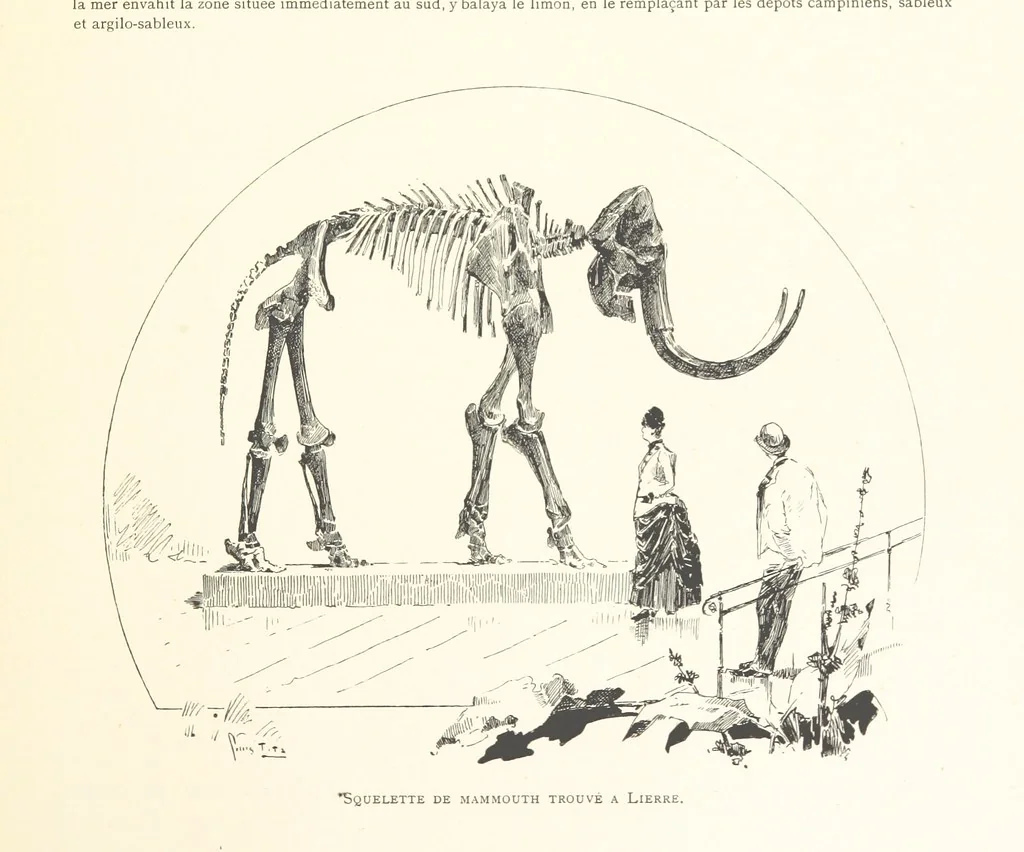 An illustration from Anvers à travers les âges, 1887, leaf 29