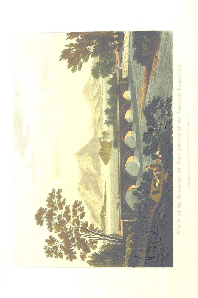 An illustration from Picturesque Tour from Geneva to Milan, by way of the Simplon: illustrated with thirty six coloured views ... engraved from designs by J. and J. [or rather, G. and G.] Lory ... and accompanied with particulars historical and descriptive by Frederic Schoberl. [With a map, 1820, leaf 186