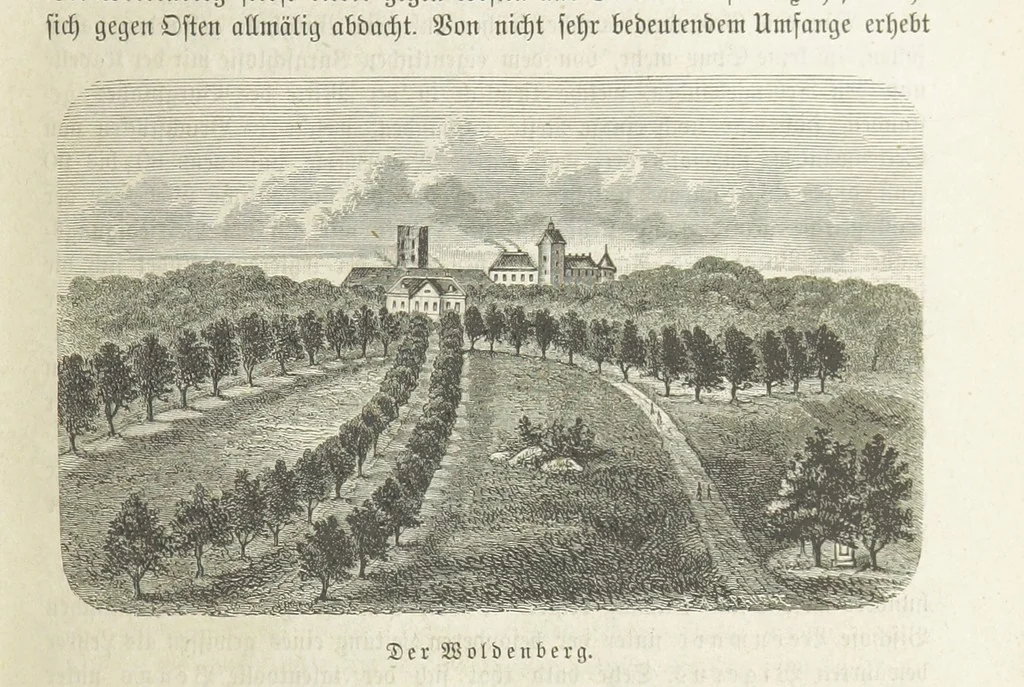 An illustration from Vaterländische Geschichten und Denkwürdigkeiten der Vorzeit der Lande Braunschweig und Hannover ... Zweite Auflage, vollständig umgearbeitet und vermehrt von F. Spehr, etc, 1881, leaf 175