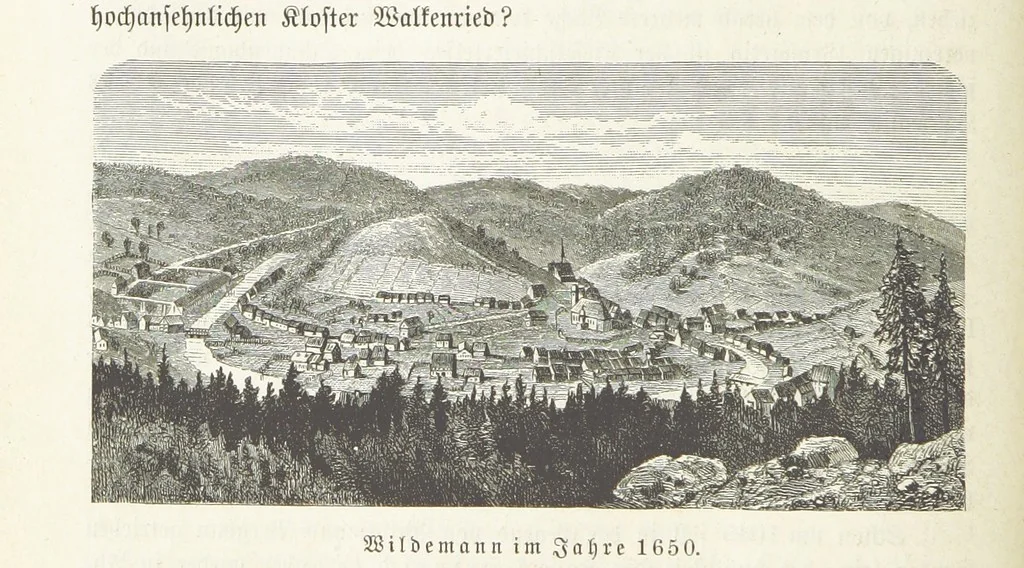 An illustration from Vaterländische Geschichten und Denkwürdigkeiten der Vorzeit der Lande Braunschweig und Hannover ... Zweite Auflage, vollständig umgearbeitet und vermehrt von F. Spehr, etc, 1881, leaf 274