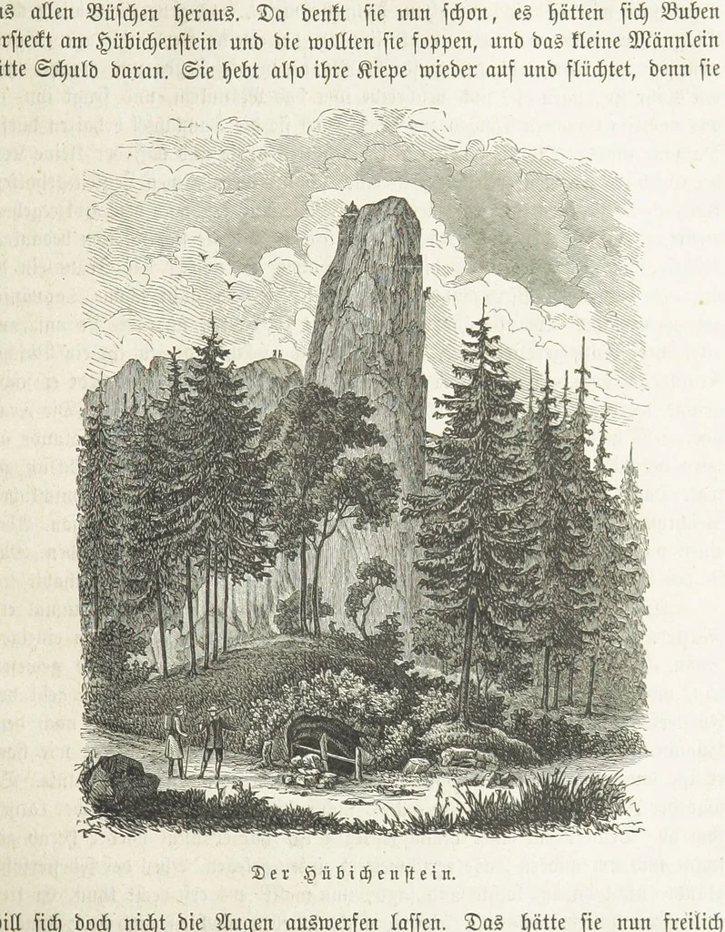 An illustration from Vaterländische Geschichten und Denkwürdigkeiten der Vorzeit der Lande Braunschweig und Hannover ... Zweite Auflage, vollständig umgearbeitet und vermehrt von F. Spehr, etc, 1881, leaf 289