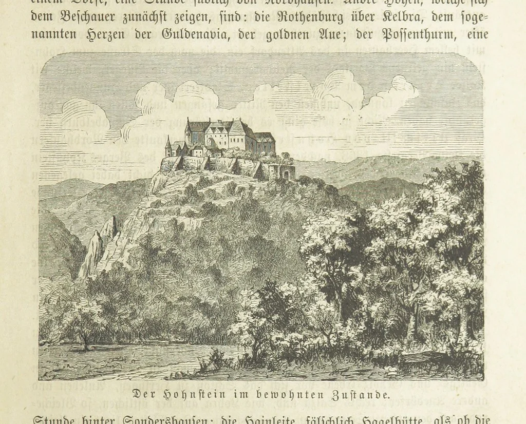 An illustration from Vaterländische Geschichten und Denkwürdigkeiten der Vorzeit der Lande Braunschweig und Hannover ... Zweite Auflage, vollständig umgearbeitet und vermehrt von F. Spehr, etc, 1881, leaf 313