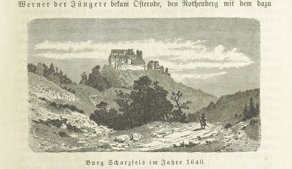 An illustration from Vaterländische Geschichten und Denkwürdigkeiten der Vorzeit der Lande Braunschweig und Hannover ... Zweite Auflage, vollständig umgearbeitet und vermehrt von F. Spehr, etc, 1881, leaf 349