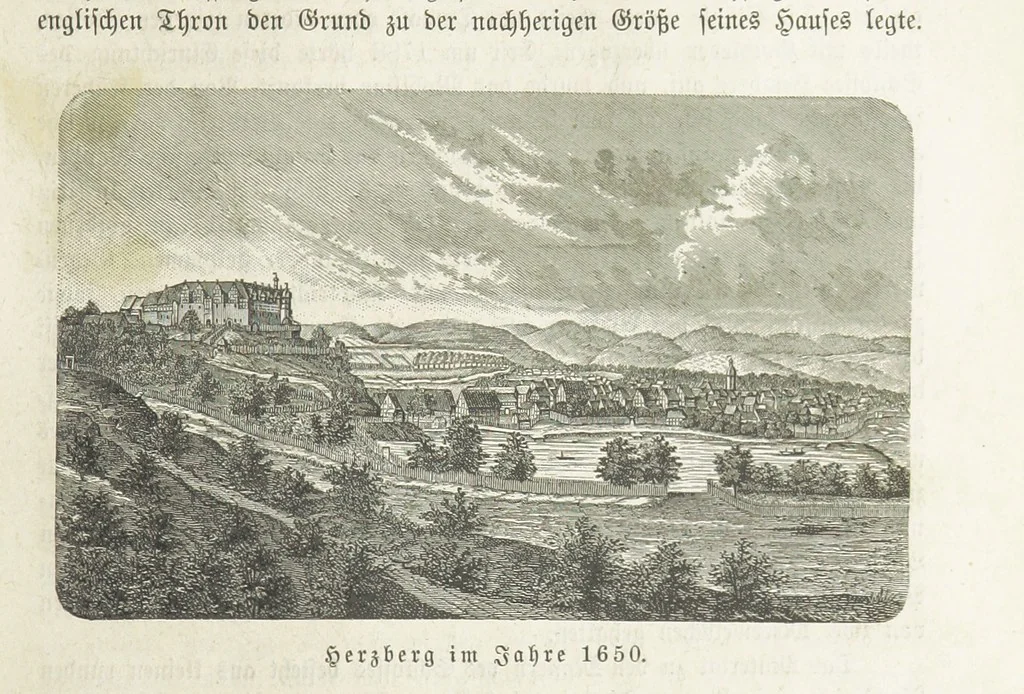 An illustration from Vaterländische Geschichten und Denkwürdigkeiten der Vorzeit der Lande Braunschweig und Hannover ... Zweite Auflage, vollständig umgearbeitet und vermehrt von F. Spehr, etc, 1881, leaf 361