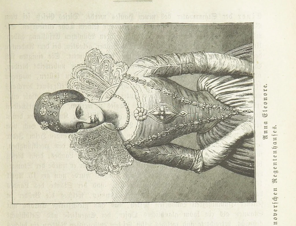 An illustration from Vaterländische Geschichten und Denkwürdigkeiten der Vorzeit der Lande Braunschweig und Hannover ... Zweite Auflage, vollständig umgearbeitet und vermehrt von F. Spehr, etc, 1881, leaf 369