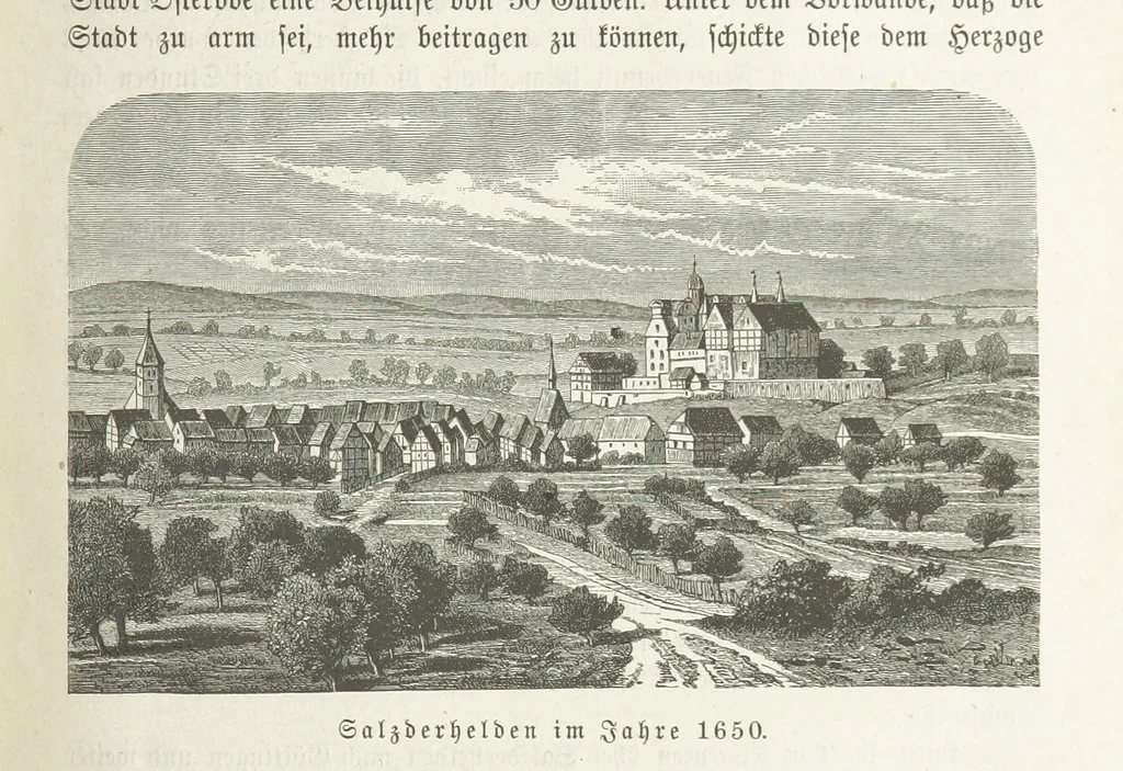An illustration from Vaterländische Geschichten und Denkwürdigkeiten der Vorzeit der Lande Braunschweig und Hannover ... Zweite Auflage, vollständig umgearbeitet und vermehrt von F. Spehr, etc, 1881, leaf 403