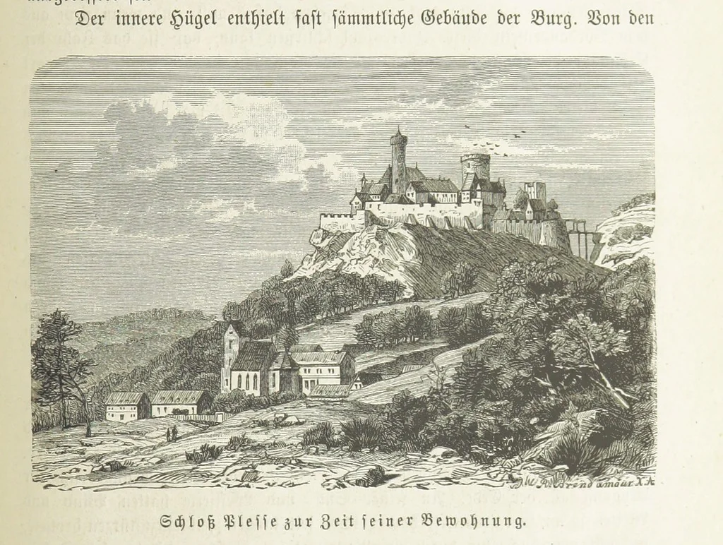 An illustration from Vaterländische Geschichten und Denkwürdigkeiten der Vorzeit der Lande Braunschweig und Hannover ... Zweite Auflage, vollständig umgearbeitet und vermehrt von F. Spehr, etc, 1881, leaf 441