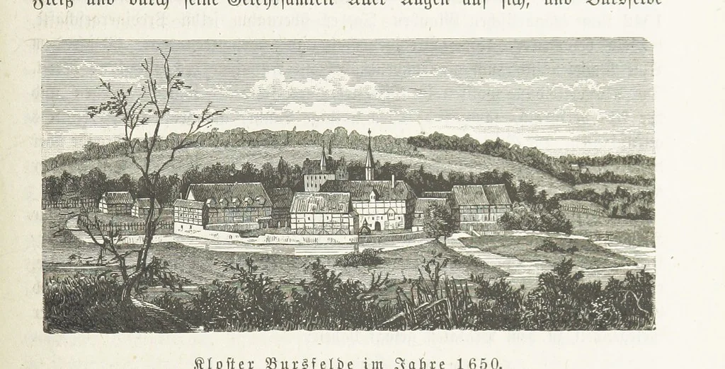 An illustration from Vaterländische Geschichten und Denkwürdigkeiten der Vorzeit der Lande Braunschweig und Hannover ... Zweite Auflage, vollständig umgearbeitet und vermehrt von F. Spehr, etc, 1881, leaf 487
