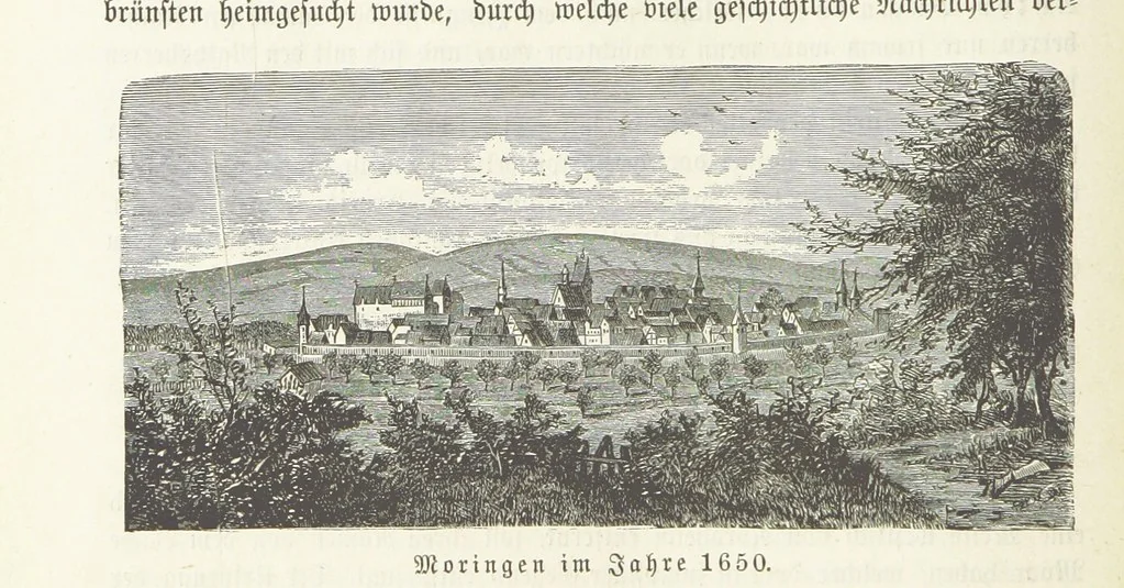 An illustration from Vaterländische Geschichten und Denkwürdigkeiten der Vorzeit der Lande Braunschweig und Hannover ... Zweite Auflage, vollständig umgearbeitet und vermehrt von F. Spehr, etc, 1881, leaf 498