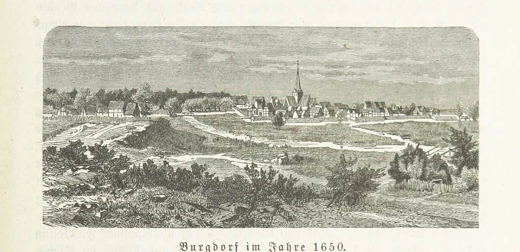 An illustration from Vaterländische Geschichten und Denkwürdigkeiten der Vorzeit der Lande Braunschweig und Hannover ... Zweite Auflage, vollständig umgearbeitet und vermehrt von F. Spehr, etc, 1881, leaf 537