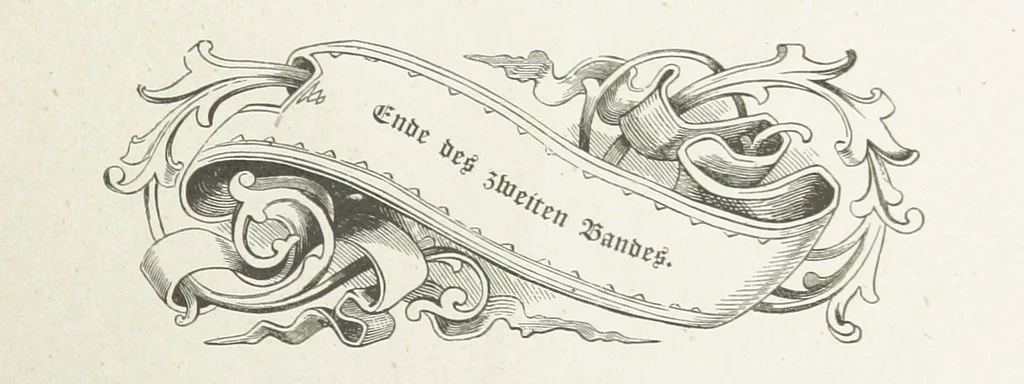 An illustration from Vaterländische Geschichten und Denkwürdigkeiten der Vorzeit der Lande Braunschweig und Hannover ... Zweite Auflage, vollständig umgearbeitet und vermehrt von F. Spehr, etc, 1881, leaf 547