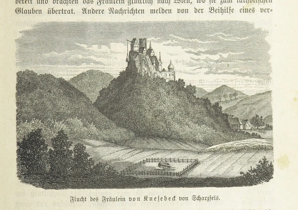 An illustration from Vaterländische Geschichten und Denkwürdigkeiten der Vorzeit der Lande Braunschweig und Hannover ... Zweite Auflage, vollständig umgearbeitet und vermehrt von F. Spehr, etc, 1881, leaf 71