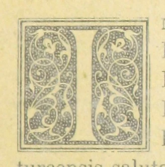 An illustration from Essai historique sur la Baronnie de Pujols en Agenais, 1891, leaf 465