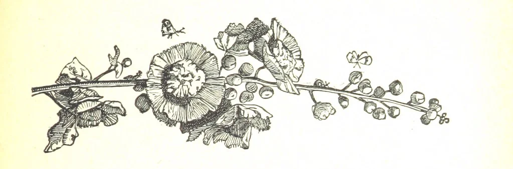 An illustration from Les Français du XVIIe siècle. Édition nouvelle et corrigée, 1893, leaf 371