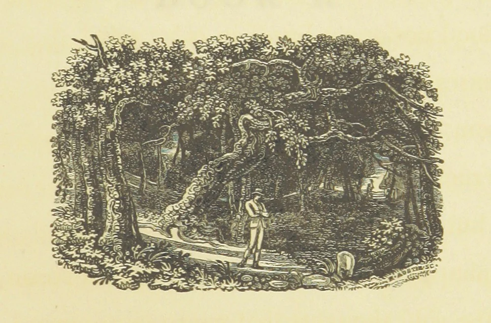 An illustration from Gilbert; or True Love rewarded: an amatory rural poem. [By J. Templeman. Illustrated, 1809, leaf 65