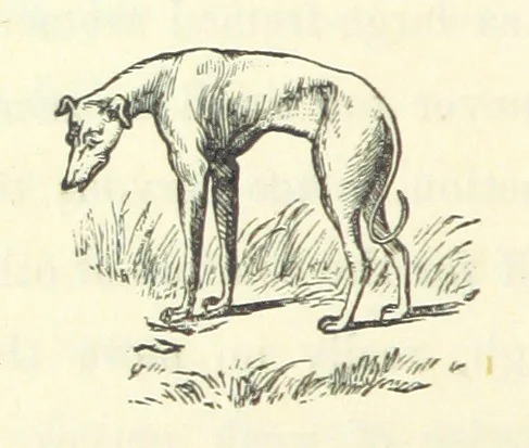 An illustration from A Daughter of Our Time, and other stories, 1884, leaf 106